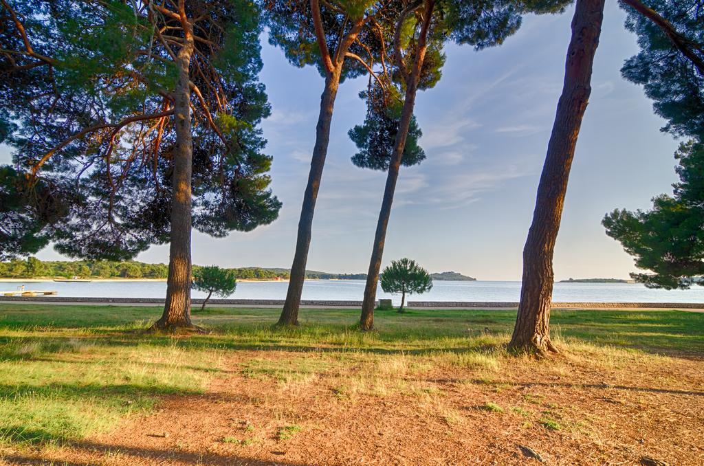 Apartment Tesic Close To The Sea With Shared 4Xbicycles Фажана Экстерьер фото